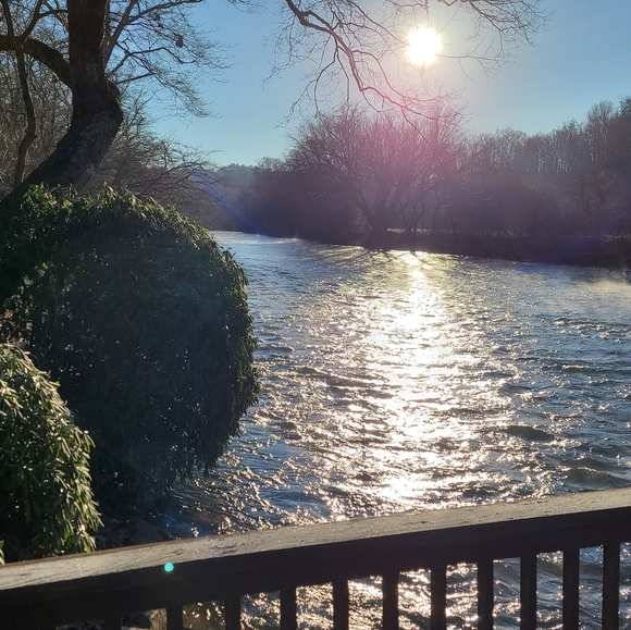 Meet your Posher, Leslie - Picture 1 of 1